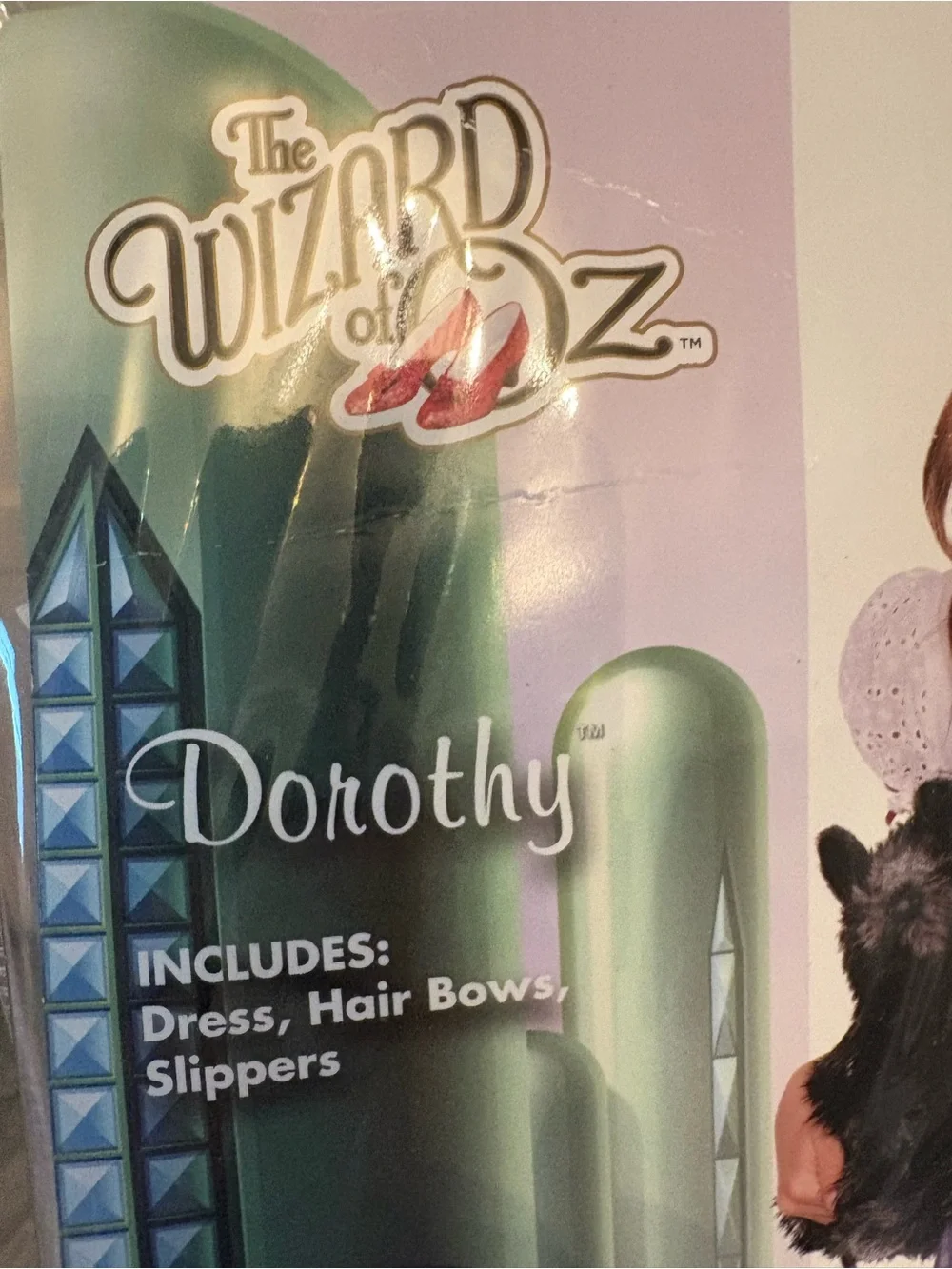 Spirit official wizard